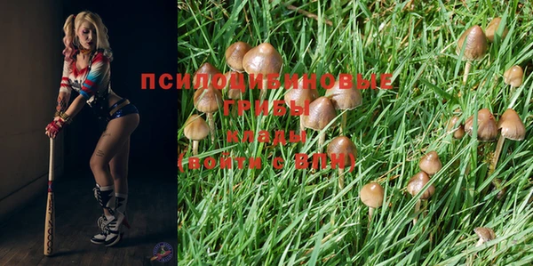 мяу мяу мука Балабаново