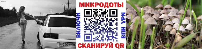 купить наркотик  Балтийск  Псилоцибиновые грибы Psilocybine cubensis 